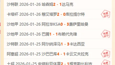 《揭秘国安新舵手！前拜仁名将布罗萨默空降，携手共创辉煌》