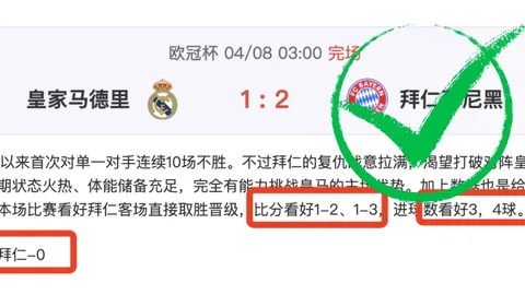 门兴对多特蒙德：大乐透期号专家推荐质合分析